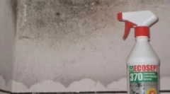 Cum să eliminați mirosul de matriță și umezeală